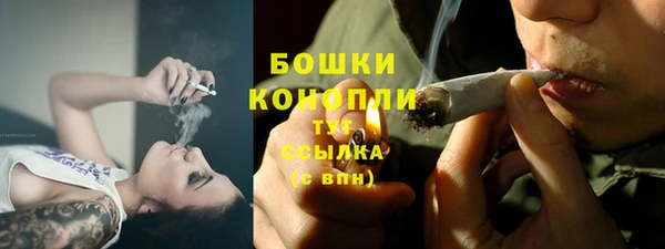 молекула духа Медногорск